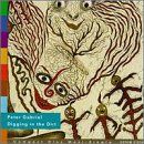 Digging in the Dirt [CD Maxi]