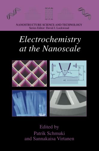 Electrochemistry at the Nanoscale (Nanostructure Science and Technology)