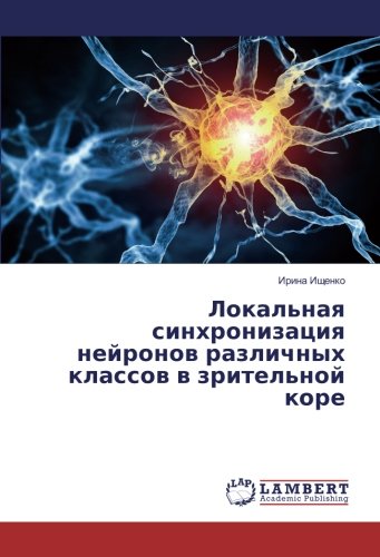Локальная синхронизация нейронов различных классов в зрительной коре