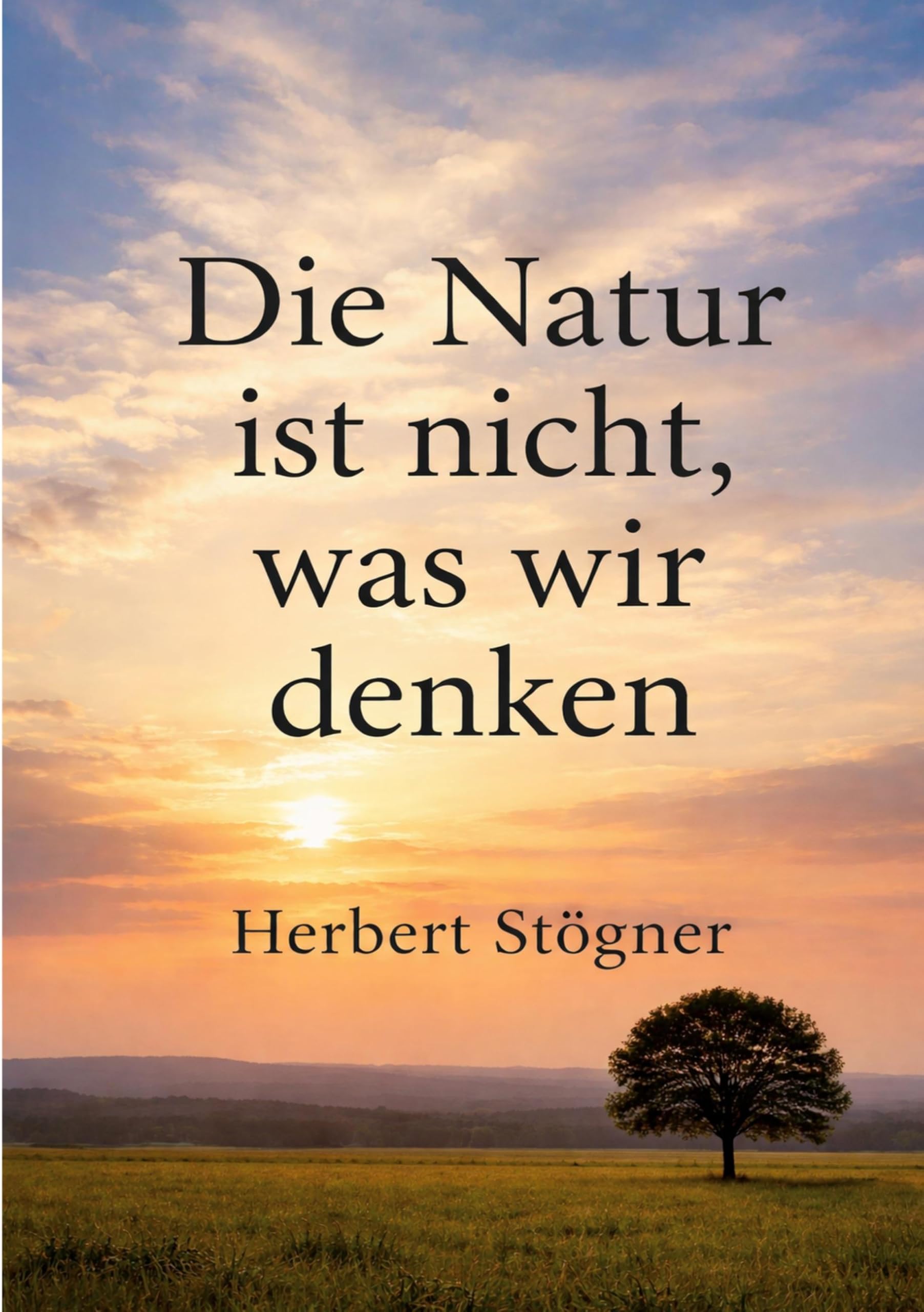Die Natur ist nicht, was wir denken: Ein naturphilosophisches Buch