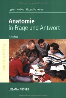 Anatomie: in Frage und Antwort