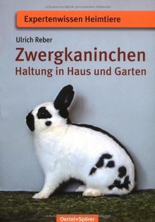 Zwergkaninchen