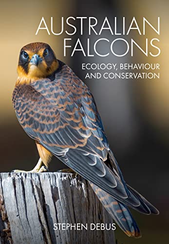 Stephen Debus Australian Falcons, Ecology, Behaviour And Conservation