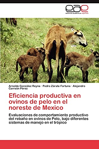 Eficiencia productiva en ovinos de pelo en el noreste de Mexico: Evaluaciones de comportamiento productivo del rebaño en ovinos de Pelo, bajo diferentes sistemas de manejo en el trópico