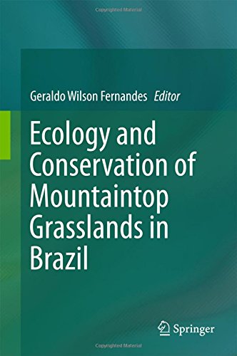 Ecology and Conservation of Mountaintop grasslands in Brazil