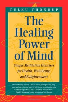 The Healing Power of Mind: Simple Meditation Exercises for Health, Well-Being, and Enlightenment (Buddhayana Series, VII)