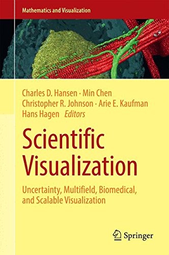 Scientific Visualization: Uncertainty, Multifield, Biomedical, and Scalable Visualization (Mathematics and Visualization)