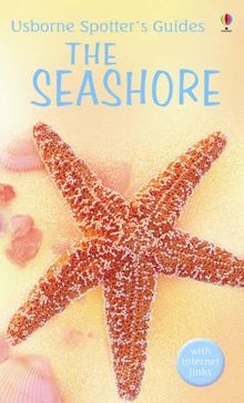 Seashore (Usborne Spotter's Guide)