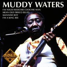 Muddy Waters