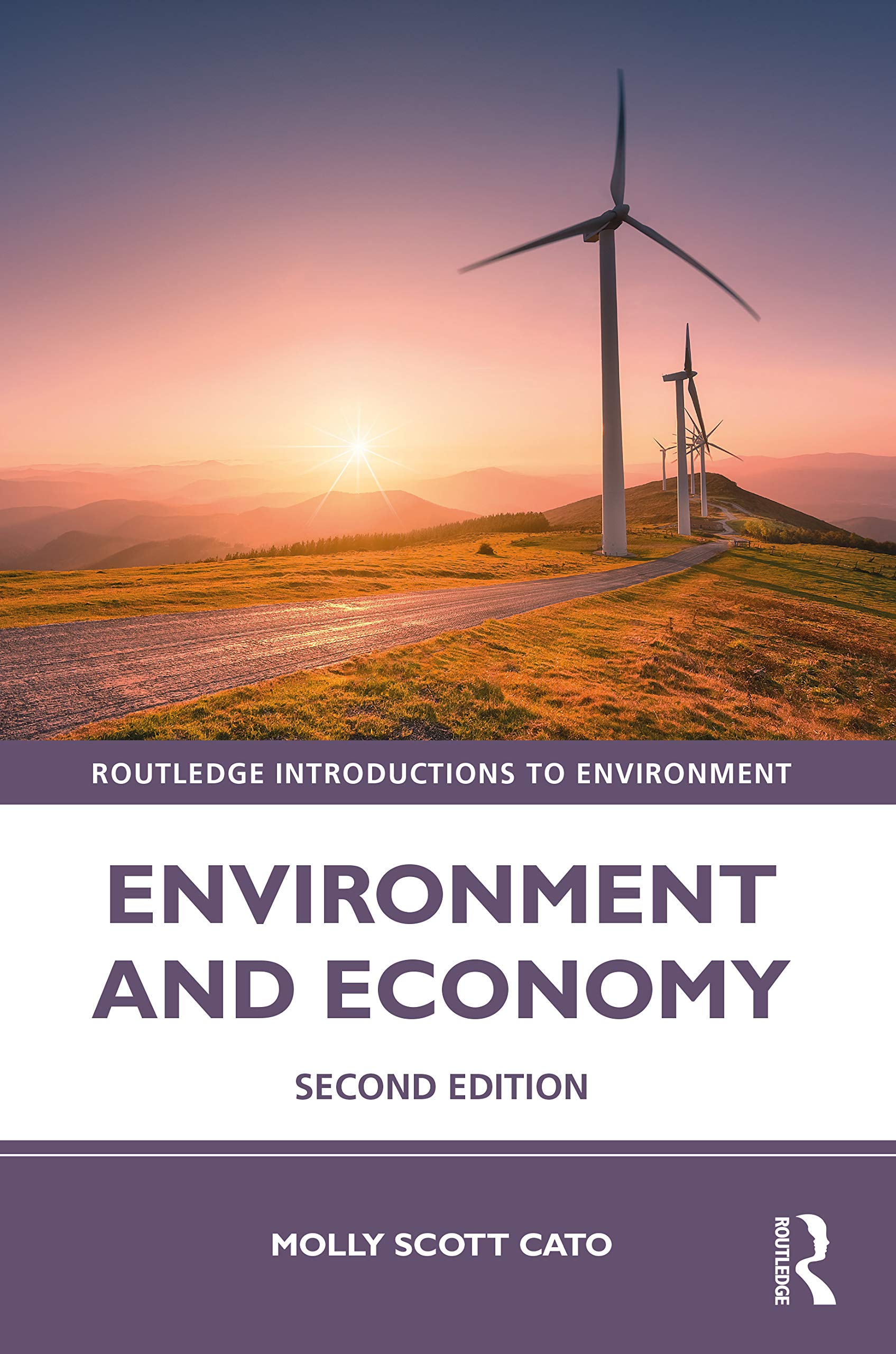 Environment and Economy (Routledge Introductions to Environment)