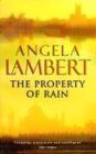 The Property of Rain