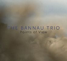 Points of View de Bannau Trio | CD | état très bon