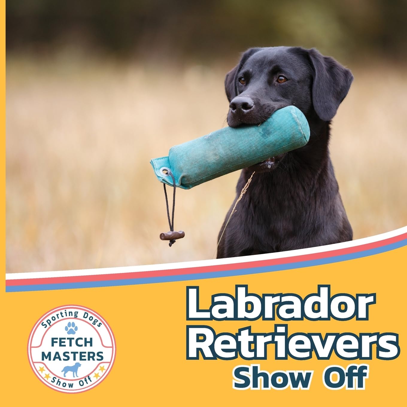 Labrador Retrievers Show Off (Fetch Masters: Sporting Dogs Show Off, Band 3)
