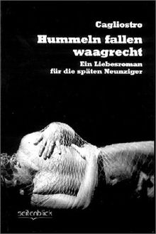 Hummeln fallen waagrecht - Ein Liebesroman für die späten Neunziger