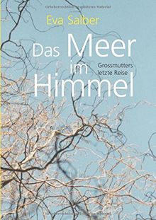 Das Meer im Himmel: Grossmutters letzte Reise
