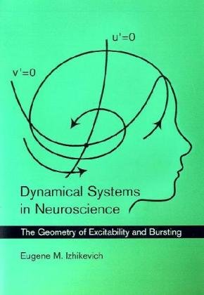 Dynamical Systems in Neuroscience: The Geometry of Excitability and Bursting (Computational Neuroscience)