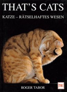 That's Cats. Katze, rätselhaftes Wesen