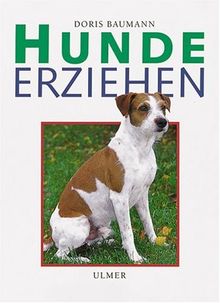 Hunde erziehen