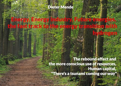 Energy Energy industry Future energies, the fast track to the energy transition with hydrogen: The rebound effect and the more conscious use of ... capital, There's a tsunami coming our way