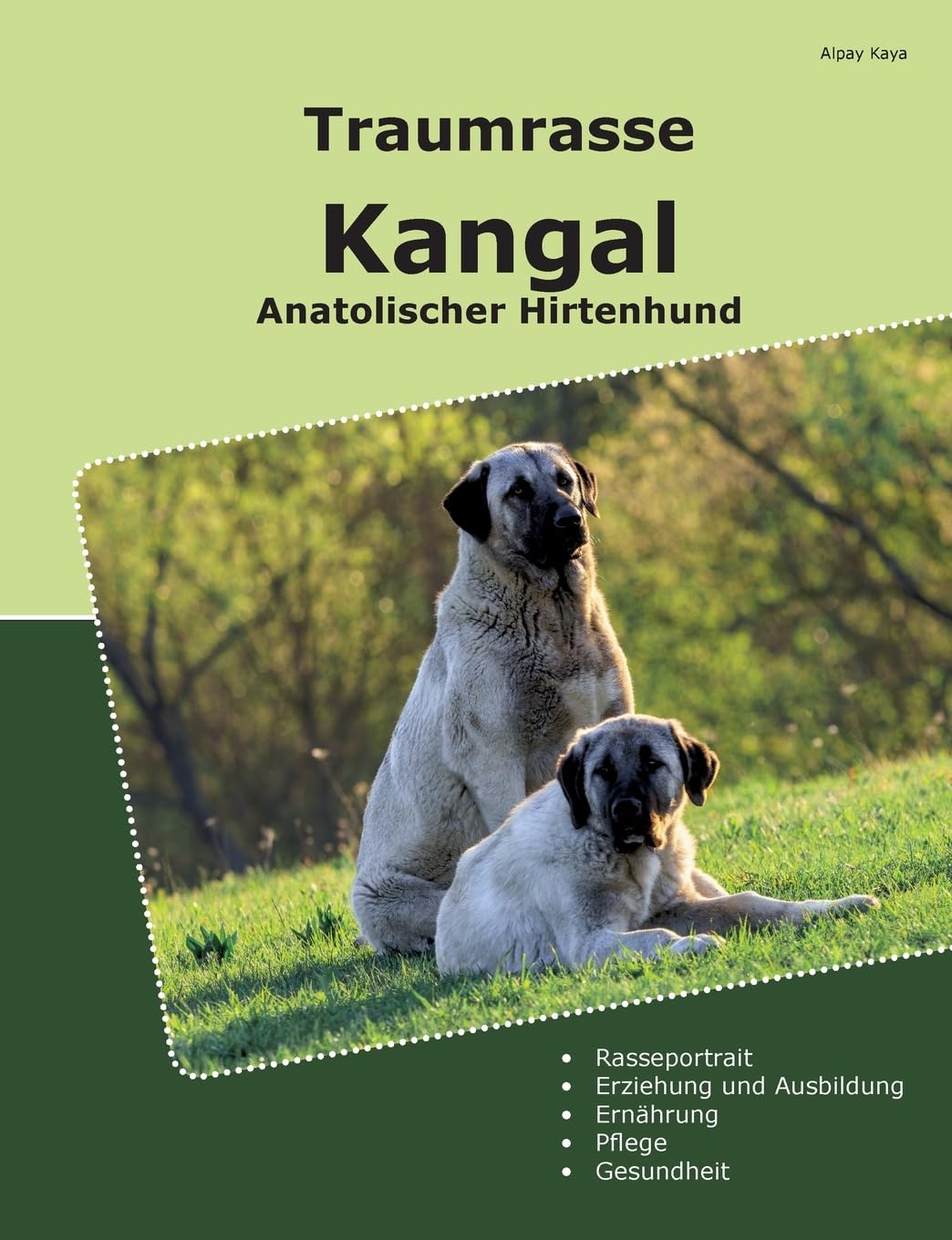 Warnschild Anatolischer Hirtenhund Kangal – Metallschild, Robust, Bis DIN A3