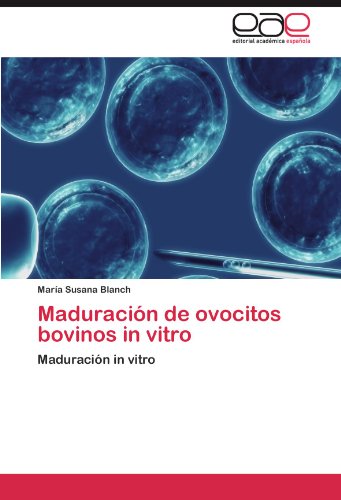 Maduración de ovocitos bovinos in vitro: Maduración in vitro