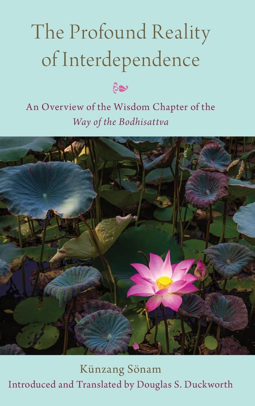 Profound Reality of Interdependence: An Overview of the Wisdom Chapter of the Way of the Bodhisattva