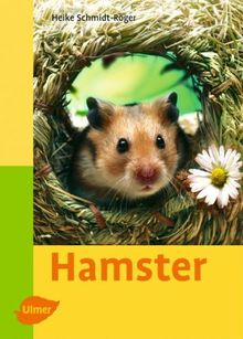 Hamster