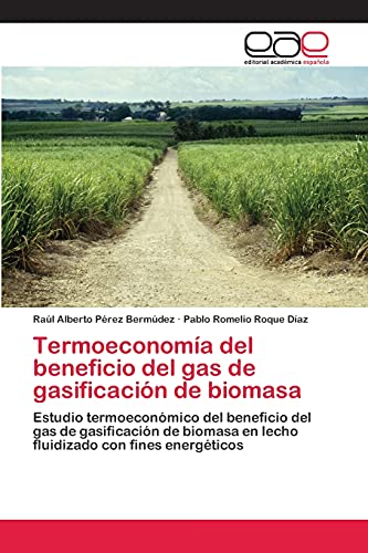 Termoeconomía del beneficio del gas de gasificación de biomasa: Estudio termoeconómico del beneficio del gas de gasificación de biomasa en lecho fluidizado con fines energéticos