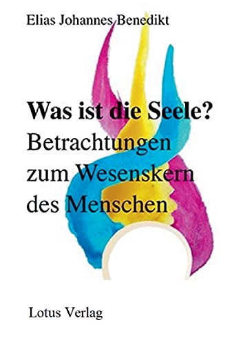Was ist die Seele?: Betrachtungen zum Wesenskern des Menschen