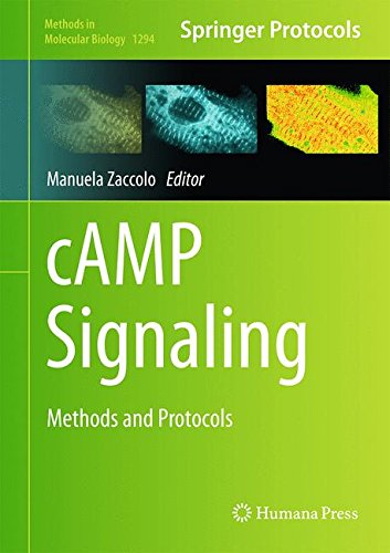 cAMP Signaling: Methods and Protocols (Methods in Molecular Biology)