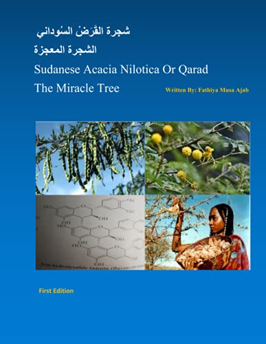Sudanese Acacia Nilotica Or Qarad
