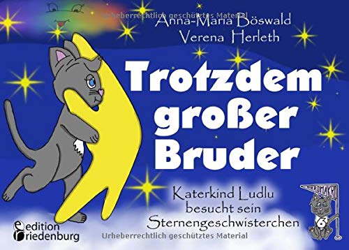 Böswald, Anna-Maria: Trotzdem großer Bruder - Katerkind Ludlu besucht sein Sternengeschwisterchen