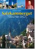 Salzkammergut: Bad Ischl - Wolfgangsee - Mondsee - Traunseeregion - Hallstatt - Ausseer Land. Deutsch