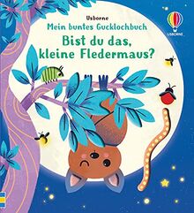 Mein buntes Gucklochbuch: Bist du das, kleine Fledermaus?: ab 6 Monaten