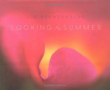 Looking for the Summer: A 94-Day Journey