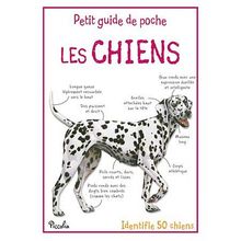 Les chiens : identifie 50 chiens