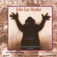 The Healer von Hooker,John Lee | CD | Zustand gut