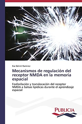Mecanismos de regulación del receptor NMDA en la memoria espacial: Fosforilación y translocación del receptor NMDA a balsas lipídicas durante el aprendizaje espacial