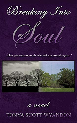 Breaking Into Soul: A Novel
