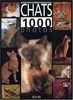 Les chats en 1.000 photos