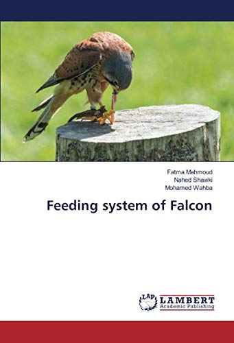 Feeding system of Falcon