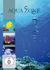 Aqua Zone - Aquarium - Wellness & Harmony