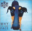 Why The Long Face de Big Country | CD | état très bon