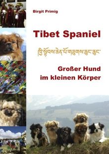 Tibet Spaniel: Großer Hund im kleinen Körper