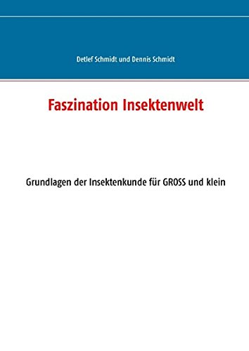 Faszination Insektenwelt: Grundlagen der Insektenkunde für Gross un klein