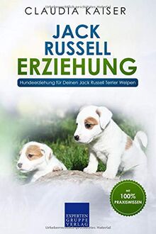 Jack Russell Erziehung: Hundeerziehung für Deinen Jack Russell Terrier Welpen