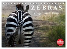 Zebras - Ungezähmte Kraft (Tischkalender 2023 DIN A5 quer), Calvendo Monatskalender