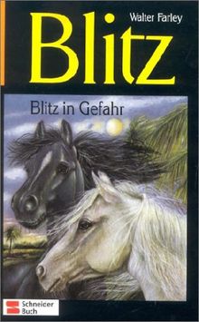 Blitz, Bd.11, Blitz in Gefahr