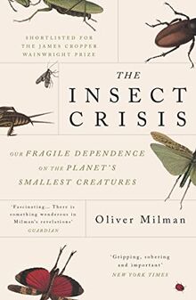 The Insect Crisis: Our Fragile Dependence on the Planet's Smallest Creatures