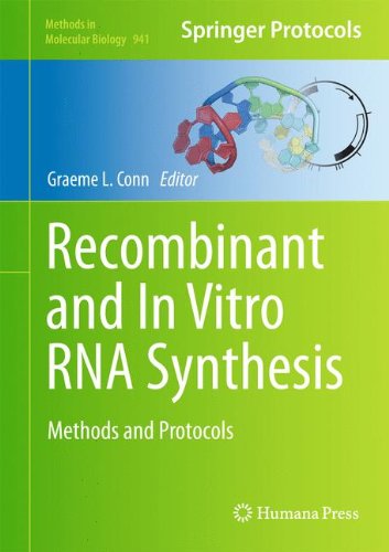 Recombinant and In Vitro RNA Synthesis: Methods and Protocols (Methods in Molecular Biology)